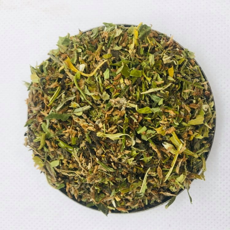 128981023_382035509690262_7488959581625057765_n