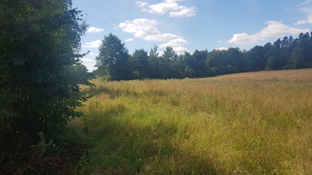 0c8e9c0b4ab9ab0f1a78f8dfd123