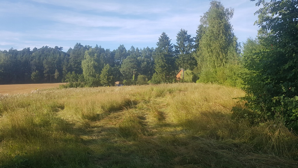 83a998fa4949907ddaac5394f393