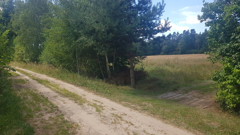 9e3b24744a3084e2920d4cc76646